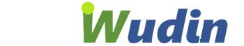Wudin Logo